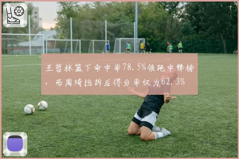 王哲林篮下命中率78.5%领跑中锋榜，而周琦挡拆后得分率仅为62.3%