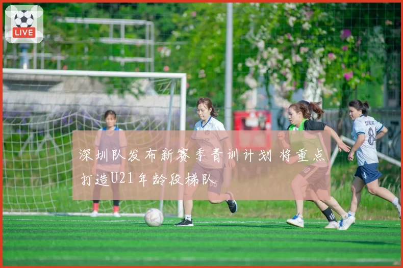 深圳队发布新赛季青训计划 将重点打造U21年龄段梯队